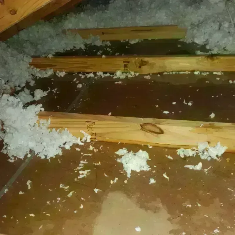 Attic Water Damage in Tempe, AZ