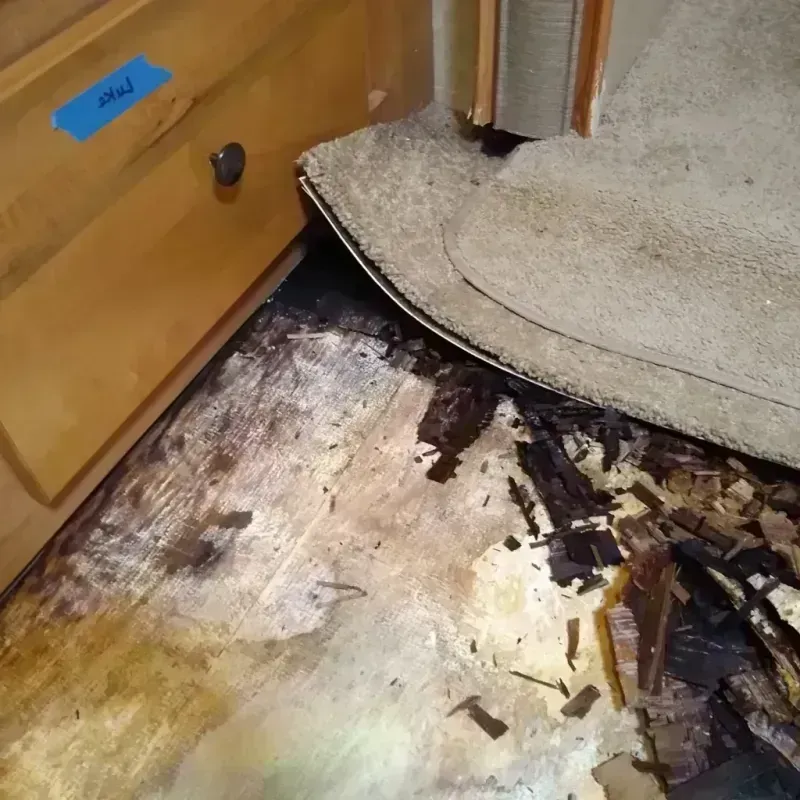 Wood Floor Water Damage in Tempe, AZ